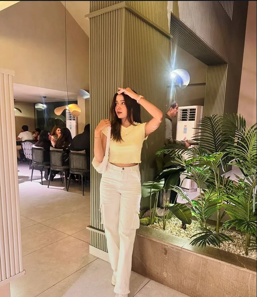 GFE escorts shimla